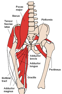 AIS Stretch for Releasing the Psoas Muscle