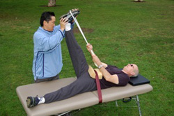 hamstrings back exercises 